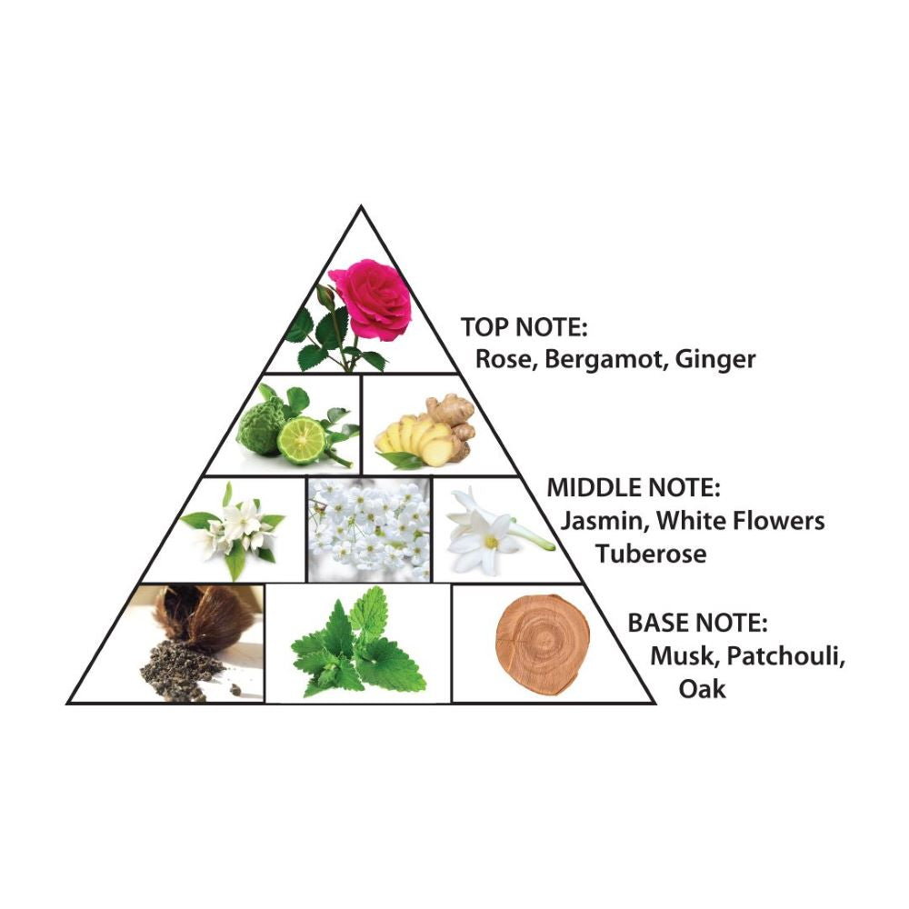 Amber Oud Ultra Violet Notes