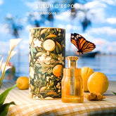 Lueur D'espoir Memories Of Summer