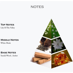 Musk_Safi_Notes