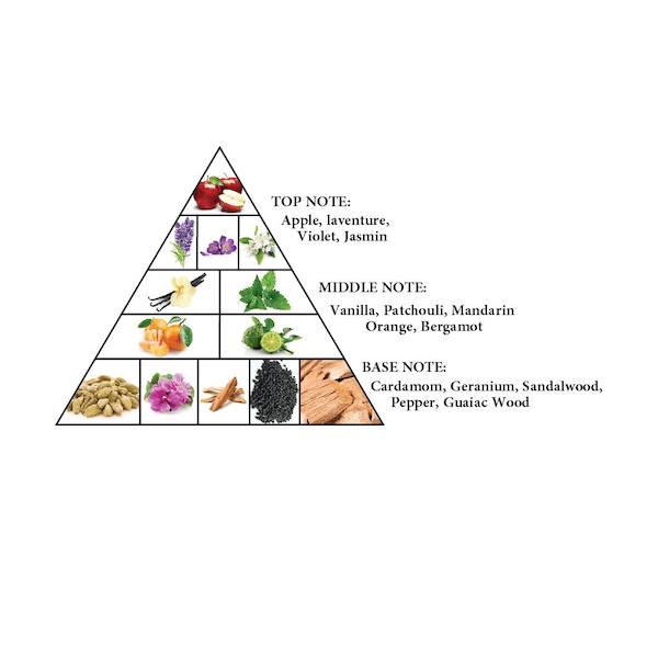 ah_detour_noir_notes