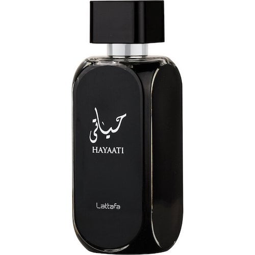 hayaati_02