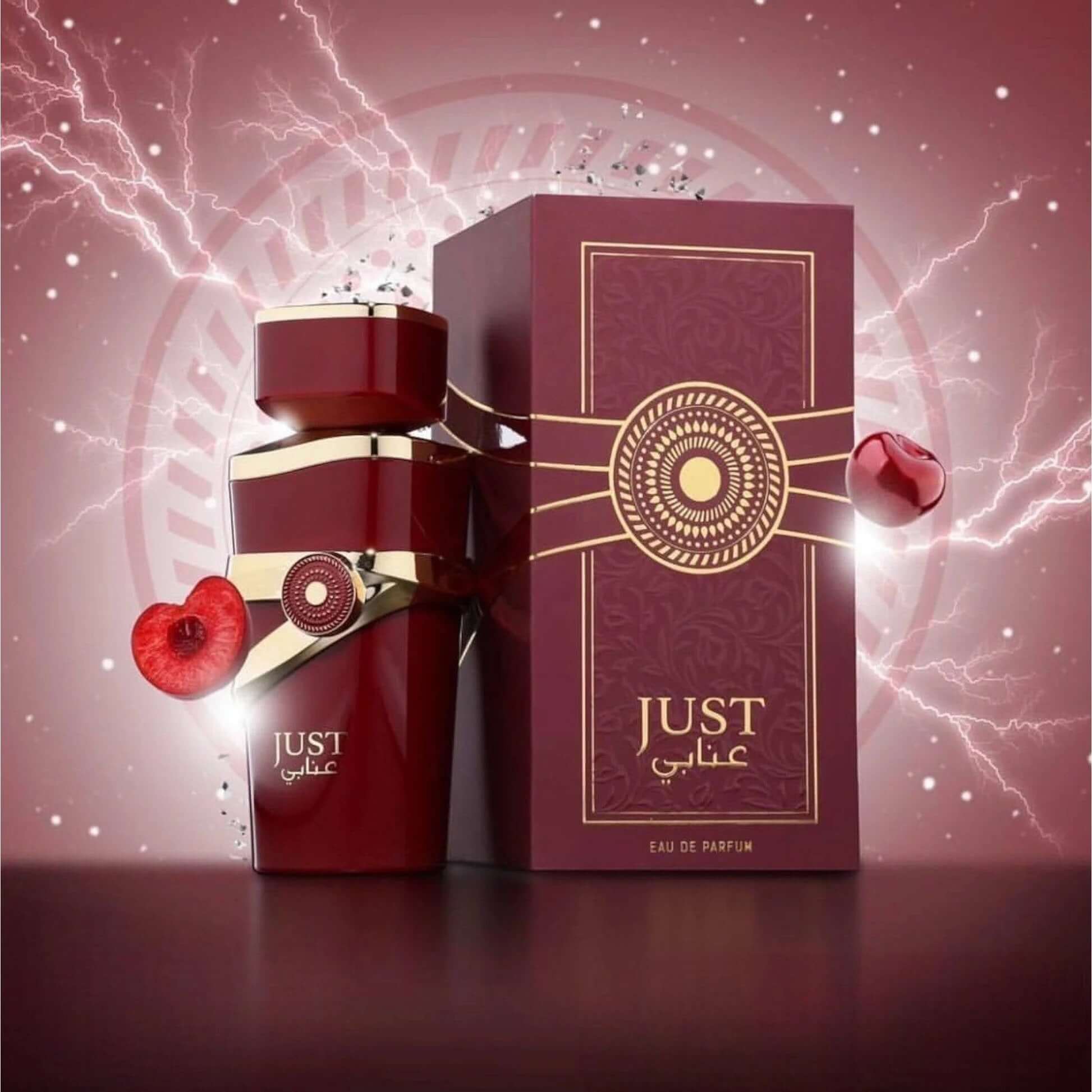 Just Anabi 100ml EDP by Fragrance World – WITR.com.au