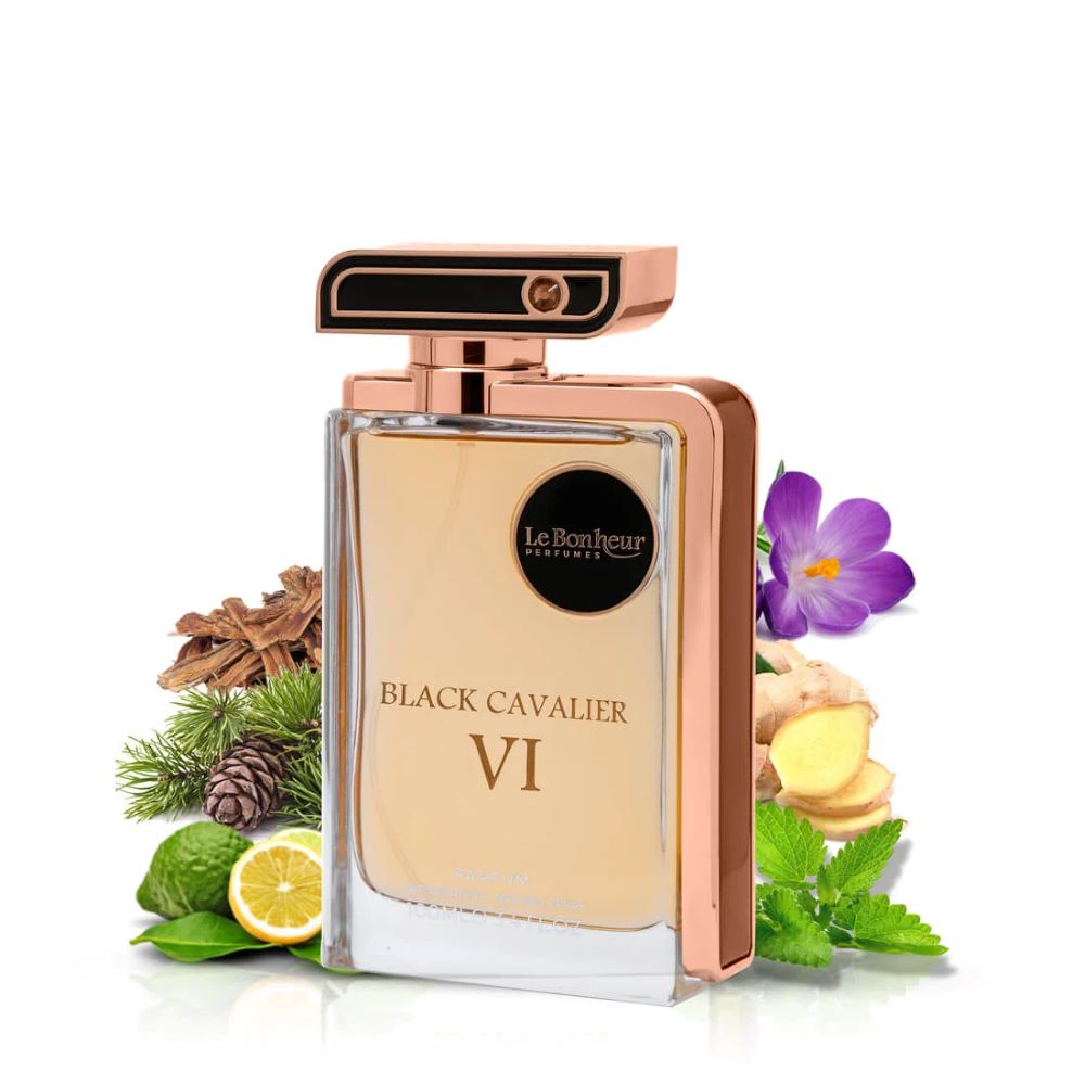 Black Cavalier VI Notes