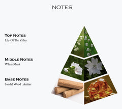 musk-safi-perfume-final notes